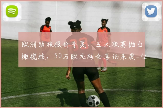 欧洲劲旅报价李昊，五大联赛抛出橄榄枝，50万欧元转会喜讯来袭_位置_亚洲杯_年轻人