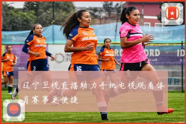 辽宁卫视直播助力手机电视观看体育赛事更便捷