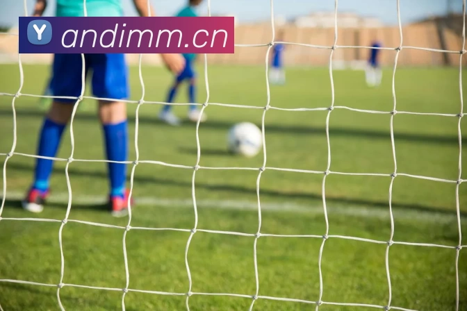 乐鱼在线登录平台入口发展历程